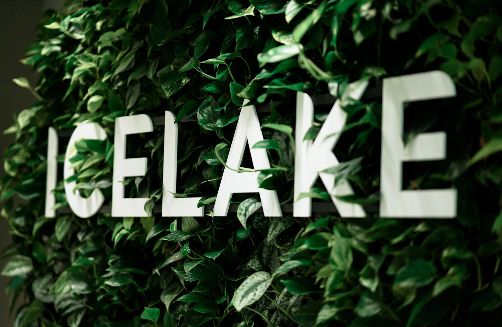 icelake-office logo